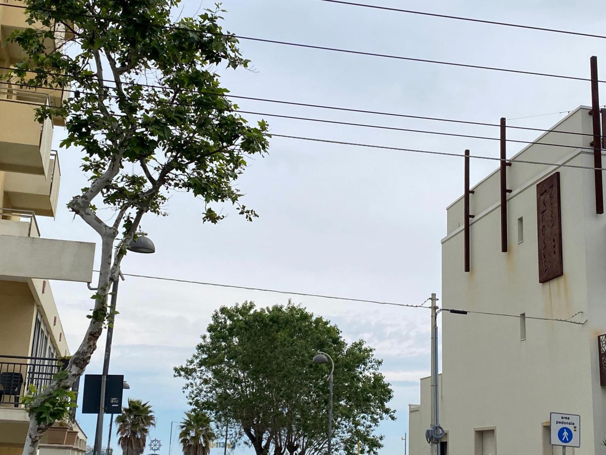 Hotel Piccari Nuova Gestione Rimini Exteriör bild